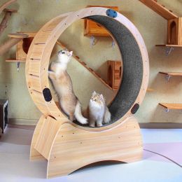 Cat Exercise Wheel ï¿½ï¿½ï¿½ Running, Spinning, and Scratching Fun, Cat Treadmill with